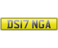 DS17 NGA - D SANGHA