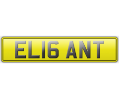 EL16 ANT - ELIGANT
