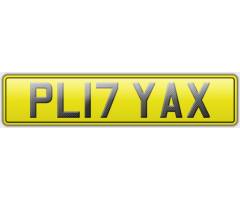 PL17 YAX - PLAYER
