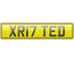 XR17 TED - X RATED